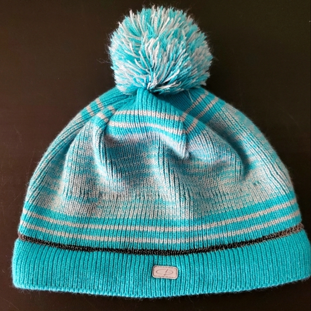 Champion Pom Beanie